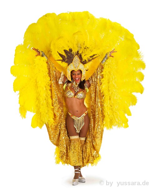 Brasil Show (120)